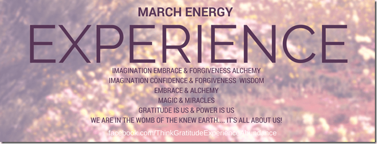 EXPERIENCE